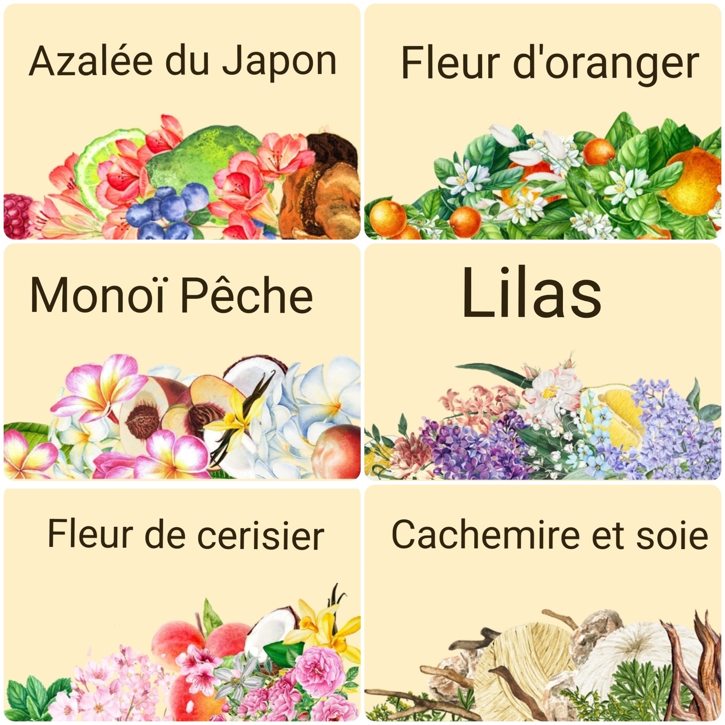 Bouquet Fondants Bougie Parfumé Parfum de Grasse