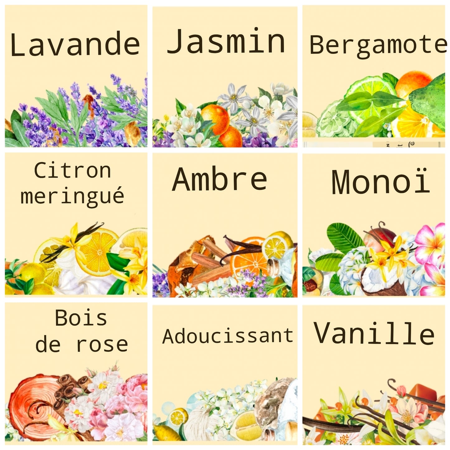 Bouquet Fondants Bougie Parfumé Parfum de Grasse