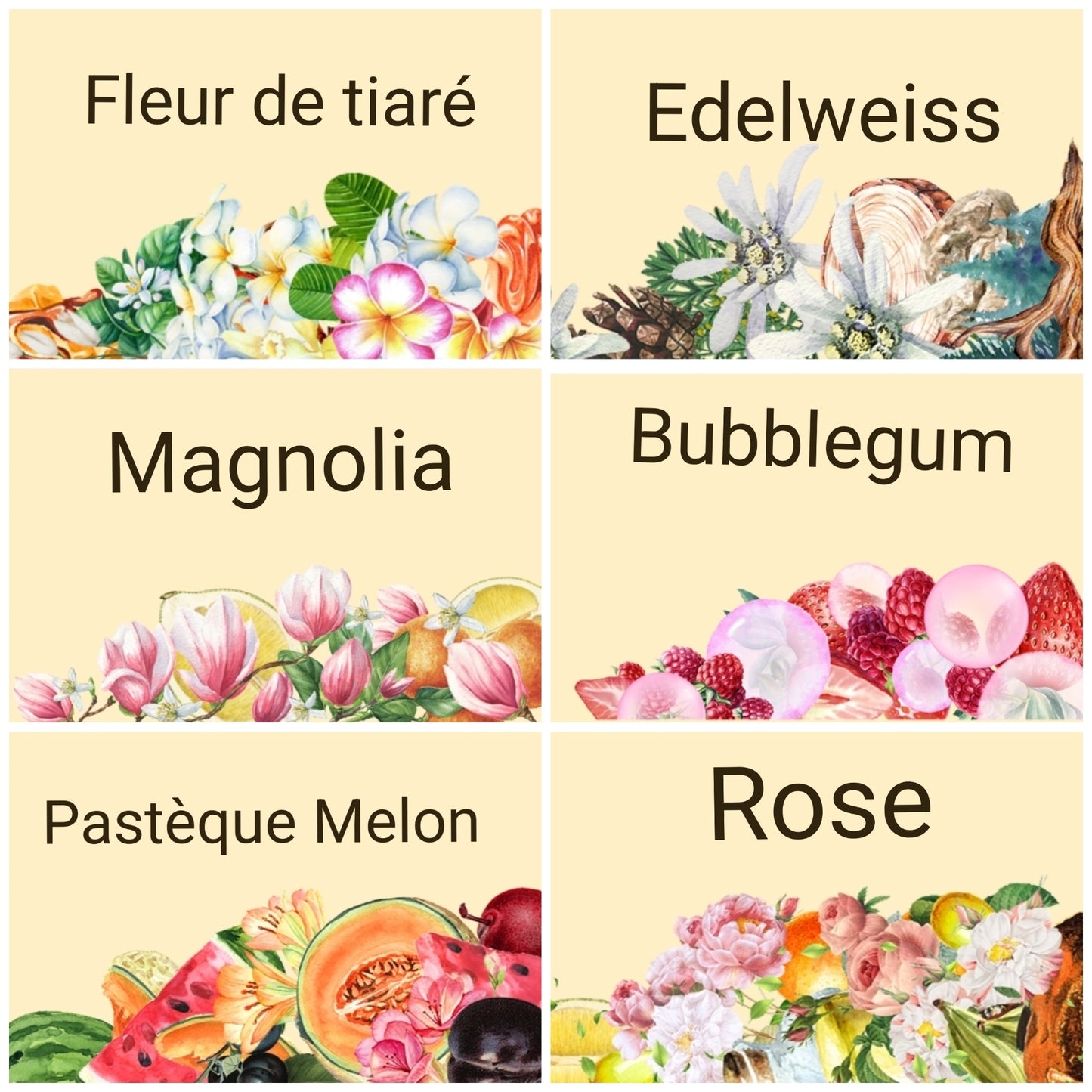 Bouquet Fondants Bougie Parfumé Parfum de Grasse